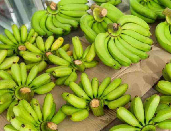生香蕉的升糖指数(GI)升糖负荷(GL)及热量