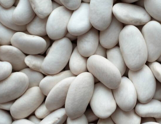 利马豆（棉豆）的升糖指数(GI值),升糖负荷(GL值)热量,蛋白质含量,碳水化合物含量,嘌呤含量