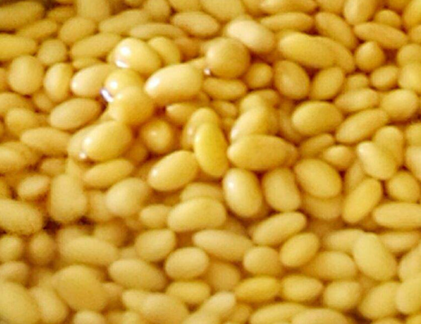 黄豆（浸泡）,大豆,黄大豆,枝豆,菜用大豆,大豆的升糖指数(GI值),升糖负荷(GL值)热量,蛋白质含量,碳水化合物含量,嘌呤含量