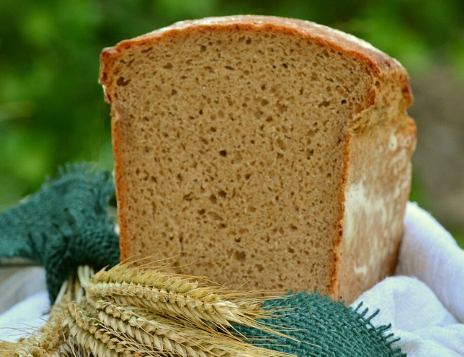 面包（80%-100%大麦粉）,大麦面包的升糖指数(GI值),升糖负荷(GL值)热量,蛋白质含量,碳水化合物含量,嘌呤含量