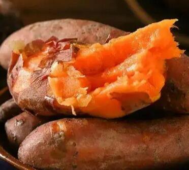 红薯（烤30分钟）,烤地瓜,烤红薯的升糖指数(GI值),升糖负荷(GL值)热量,蛋白质含量,碳水化合物含量,嘌呤含量