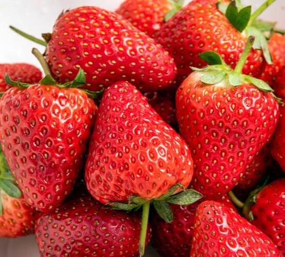 草莓,士多啤梨,红莓,地莓,洋莓，凤阳草莓,草梅的升糖指数(GI值),升糖负荷(GL值)热量,蛋白质含量,碳水化合物含量,嘌呤含量