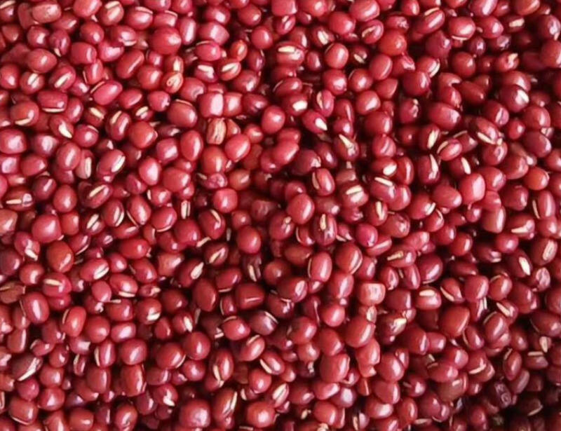 红小豆,赤小豆,红饭豆,米赤豆,赤豆,朱小豆的升糖指数(GI值),升糖负荷(GL值)热量,蛋白质含量,碳水化合物含量,嘌呤含量
