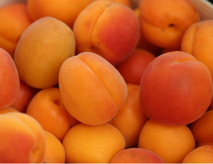 杏,杏果,甜梅,叭达杏,杏实,杏子的升糖指数(GI)升糖负荷(GL)及热量