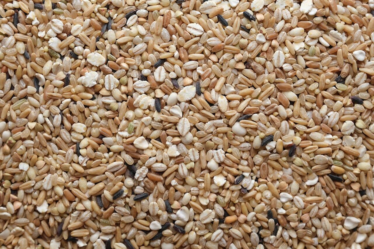 珍珠燕麦粳米（各一半，常压50分钟）的升糖指数(GI值),升糖负荷(GL值)热量,蛋白质含量,碳水化合物含量,嘌呤含量