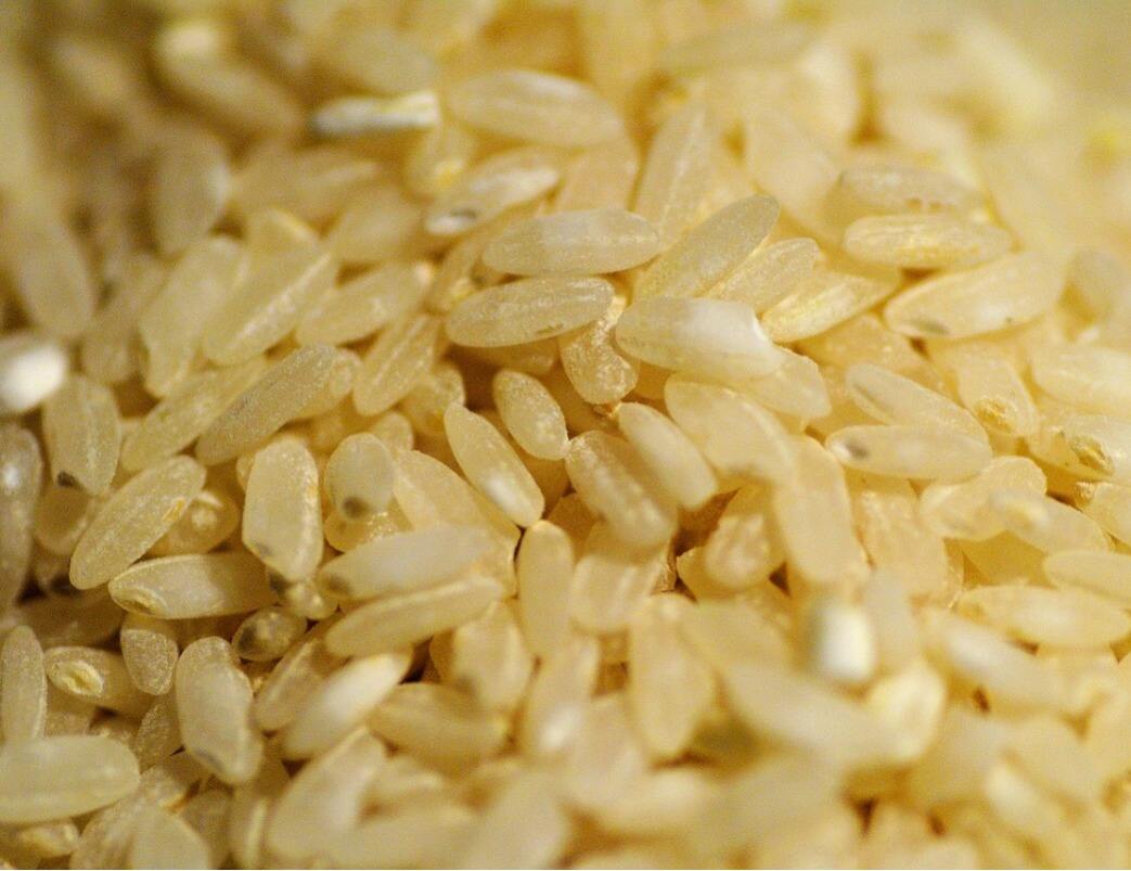 糙米的升糖指数(GI)升糖负荷(GL)及热量